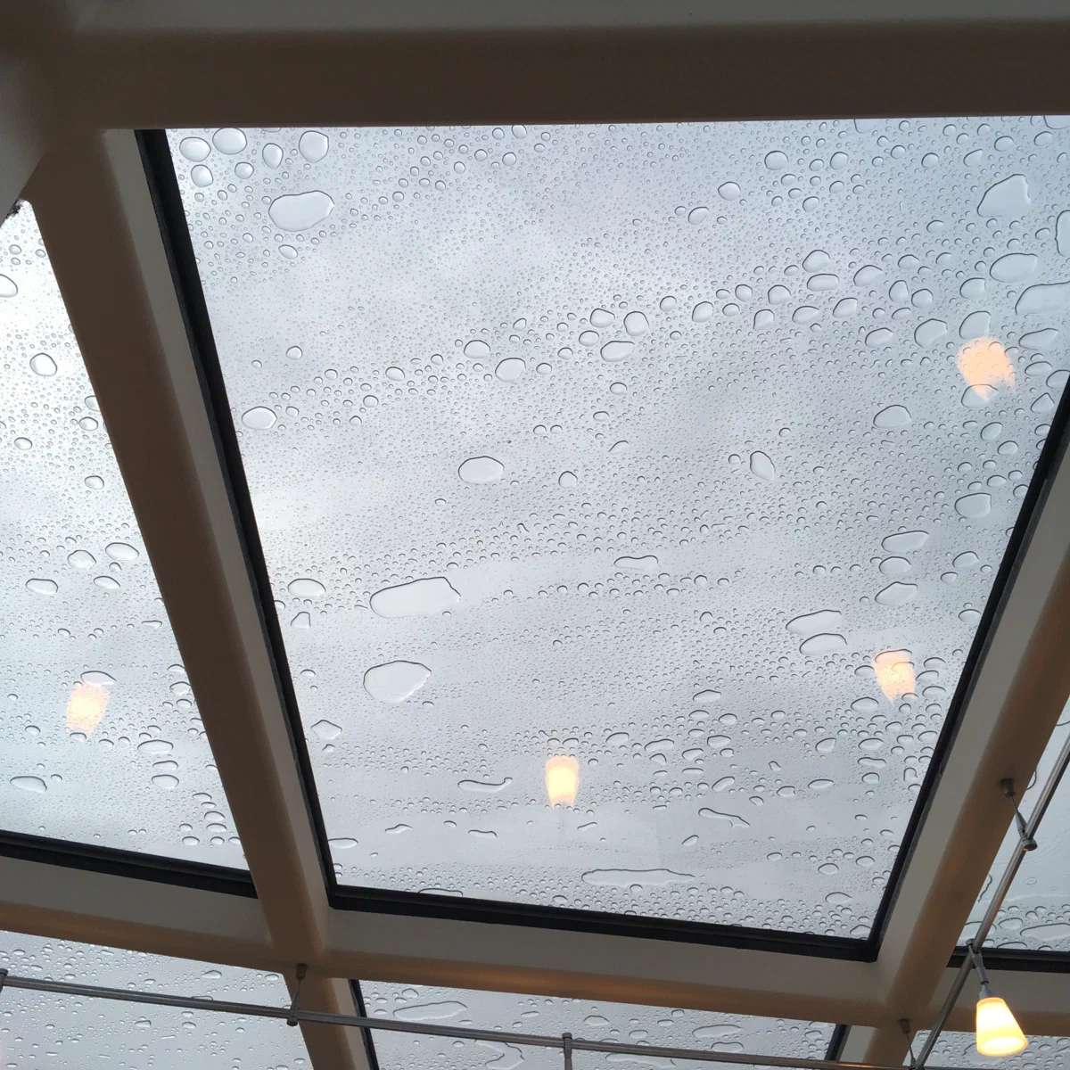 Aquavit Terrace Ceiling